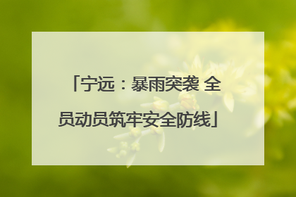 宁远：暴雨突袭 全员动员筑牢安全防线